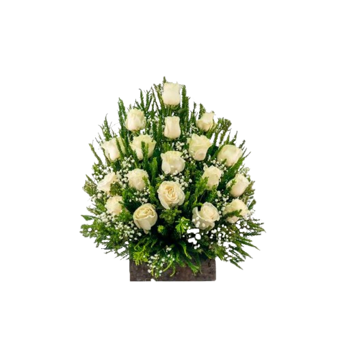 arimo de rosas