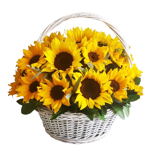 canasta de girasoles