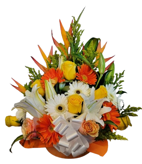 BOUQUET-MULTI.