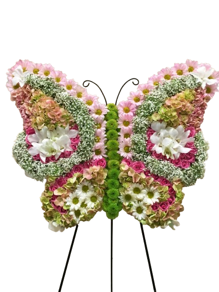 mariposas
